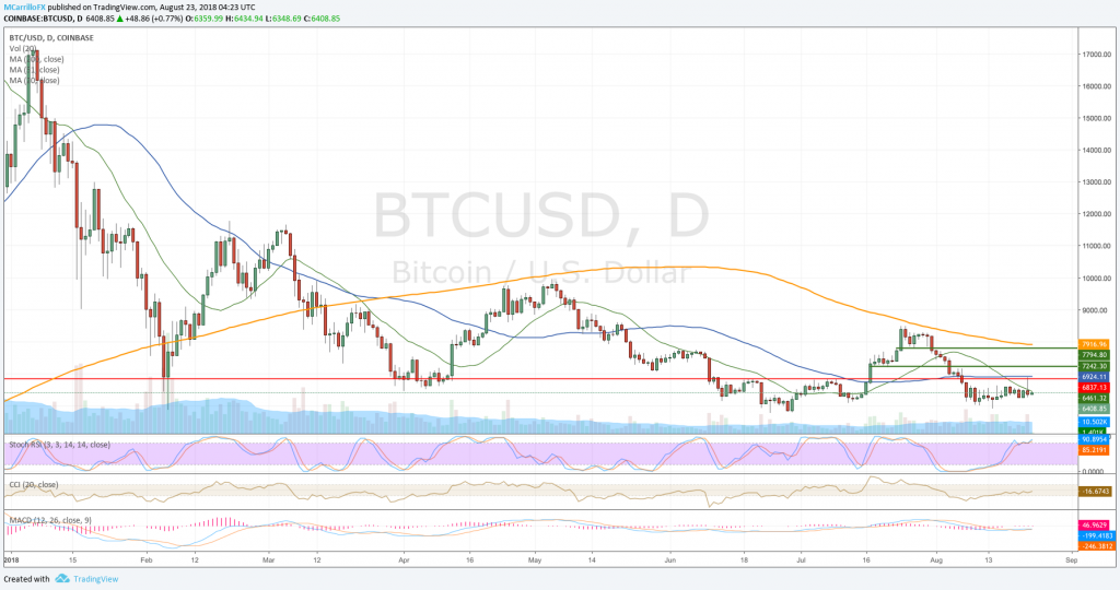Bitcoin daily chart August 23