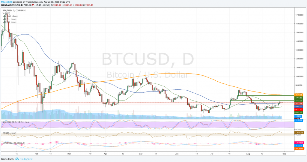 Bitcoin daily chart August 30
